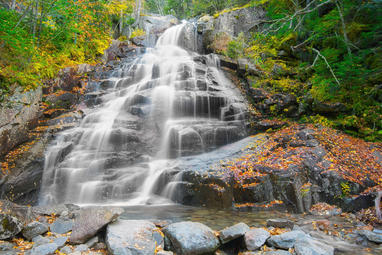 Cloudland Falls – Autumn Cascade